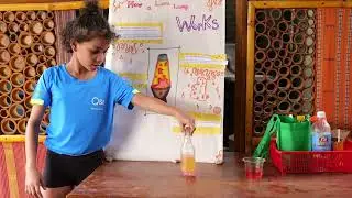 QSI International School of Dili - Science Fair and STEM Week