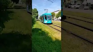 Новокузнецк▶️71-623-04▶️219▶️5-ый маршрут