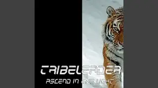 Universe Evolution