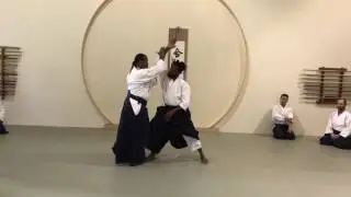 Donovan Waite Sensei Aikido Shomenuchi Ikkyo 1:3