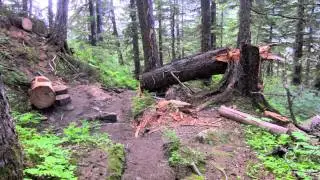 ALASKAN CRUISE VACATION: HIKING THE MOUNT ROBERTS TRAIL IN JUNEAU ALASKA!