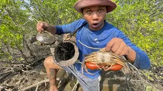 Unique Fishing - Catch A Lot Of Huge Mud Crabs at The Sea Swamp after Water Low Tide