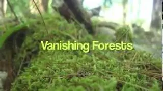 Save Our Forest