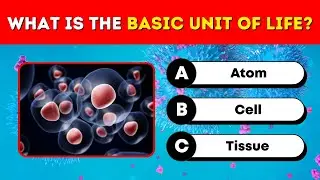 🧬 40 Biology Quiz Questions & Answers | Test Your Science Knowledge! 🌱🔬