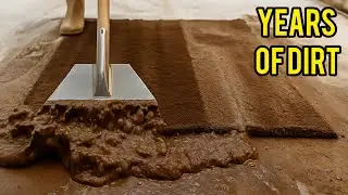 Very Dirty Carpet Gets Cleaned | ASMR Visual Cleaning Satisfaction