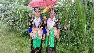 lub neej tsi kawg nkauj sua thoj thiab yias lis 26/9/2024