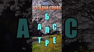Отгадай слово #706