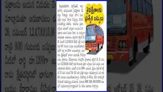 Special Bus from Nellore to #arunachalam  #apsrtcbus #apsrtc #shorts
