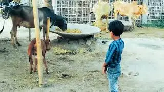🎅pirya bugu se kelte huye @Tanupriya333 @govindabhai @ManojDey