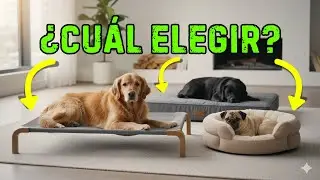 The best dog beds on Amazon 🐾 | Guide for large and small breeds
