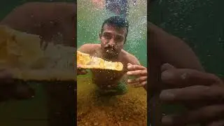 under water fruit