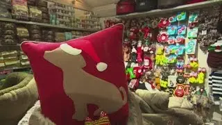 The perfect Christmas present for your pet