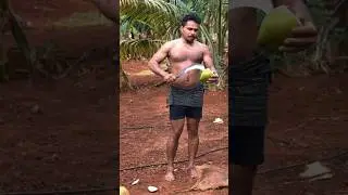 🌴❤️#coconut #water #shortvideo#tamil#amazing#viral#video#nature#theni