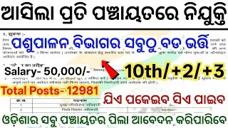 Odisha Panchayat BPNL Recruitment 2025 ! 10th Pass Panchayat BPNL Jobs ! Odisha New Govt Jobs