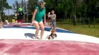 Huge jumping pillow blob