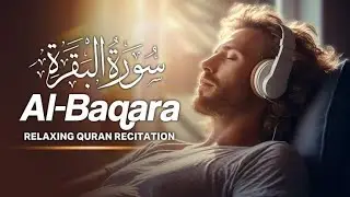Surah Al-Baqarah Beautiful Recitation for Blessings, Peace, Khair & Barakah | سورةالبقرة