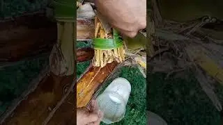 Making like palm juice! #Ep5 #satisfying