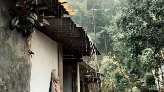 Quiet Night Rain on the Roof 🌧️ Insomnia Relief & Calm Mind Ambience