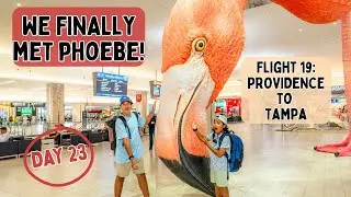 Наконец-то мы встретили Фиби! 🦩 Провиденс &mdash; Тампа (TPA) | JetBlue 25-из-25 Challenge, день 23