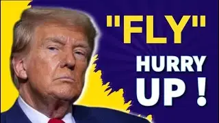 Новости акций FLY Co Ltd сегодня | Прогноз цены акций FLY