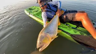 PESCANDO O MAIOR DOURADO DO MUNDO NO CAIAQUE