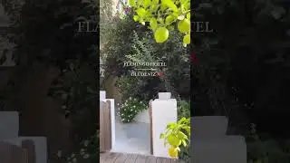 Flamingo hotel Olu Deniz