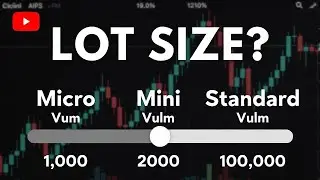 What Is a Lot Size in Forex? (Beginner Friendly Explanation)