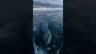 40-Foot Shadow Spotted in Lake Baikal&mdash;Locals Call It 'The Serpent'