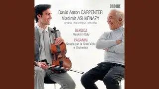 Sonata per la grand viola, MS 70: I. Introduzione: Larghetto - Recitativo a piacere