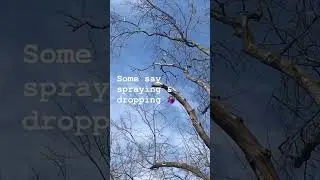 No it&rsquo;s not an UFO  #ufosightings #ufotwitter #ufo #shayshay #nothing #scenery #inspiration #shorts