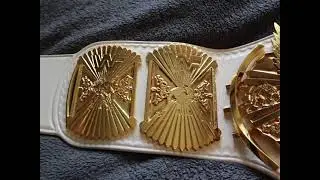 Classic shields white winged eagle