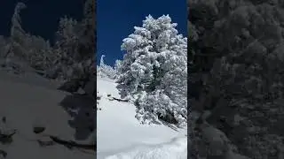 Snow Troodos mountains Cyprus
