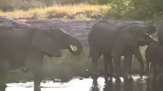2013-za video clip 25 etosha 10 movie
