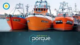 ¿Por qué flotan los barcos? (1 de 3) - Todo tiene un porqué