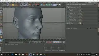 Marvelous Designer 8: How to Easily Transfer Selection Sets in Cinema4D