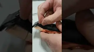 Gamma Piu Absolute Hitter - upute za zamjenu maskice