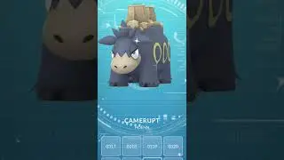 Catching the new shiny mega Camerupt in pokemon go