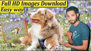 How to download high quality images | HD Photo download website free