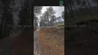 HDRI Forest Road &ndash; Lighting That Transforms Your Scene 🌲☁️