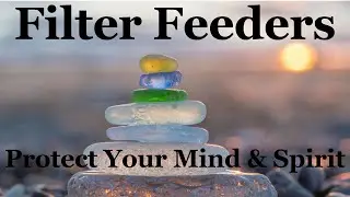 Information Overload? Be a FILTER FEEDER! Protect Your Mind & Spirit