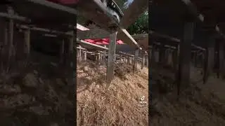 Hersage avec le 620