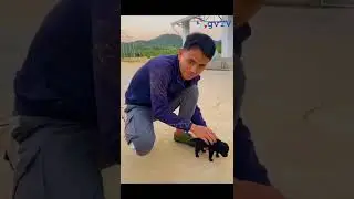 Video Triệu View Tr&ecirc;n TikTok #acefun #shorts 7