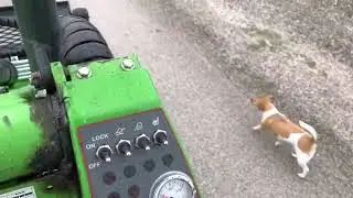 Avant laadur koeraga jalutamas