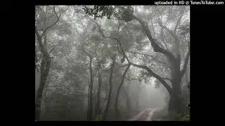 [FREE4NP] yung lean x eric dingus + soundcloud cloud rap type beat