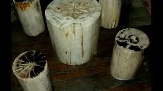 PETRIFIED WOOD ACCENT TABLE