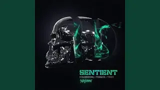 Sentient (Original Mix)