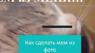 Как сделать мем