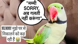 Mummy Aaj Mujhe Ghar Se Nikalne ko Kah Rahi Hai 😭🦜Mummy Papa Bolne Wala Parrot Gaana Bhi Gaata Hai 🦜