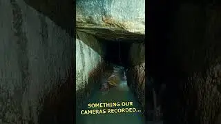 Very rare find down on the abandoned Victorian sewers of London.