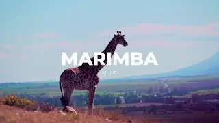 Marimba Music - [chill lo-fi beats]